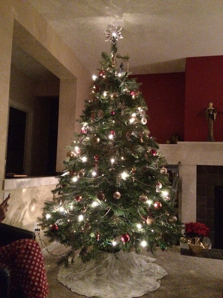 HUBERTS CHRISTMAS TREES Updated September 2024 4635 Seabeck Hwy NW