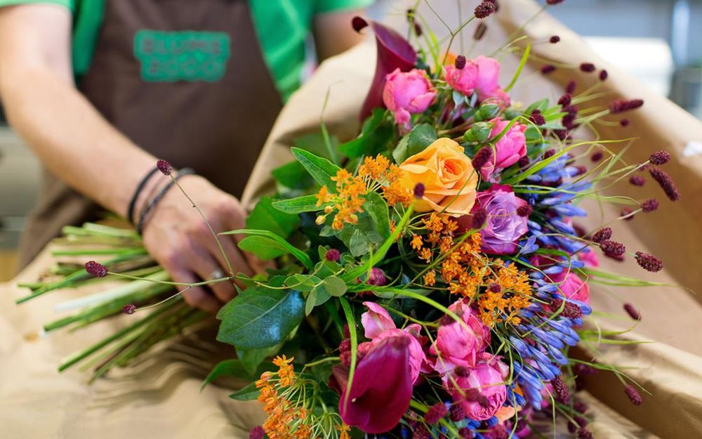 BLUME 2000 Florists Hauptstr. 74, Heidelberg, BadenWürttemberg
