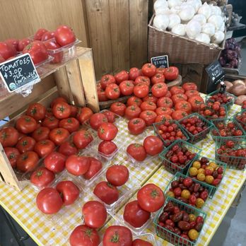 Schacht Groves - Specialty Food Near Me - Vero Beach, Florida Schacht Groves - Specialty Food Near Me - Vero Beach, Florida