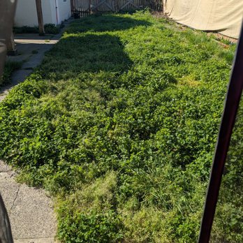 Triple D Landscaping - Backyard before - Landscaping Near Me Triple D Landscaping - Backyard before - Landscaping Near Me