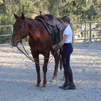 White Cloud Ranch - Working in the small arena - Horse Boarding Near Me - Malibu, California White Cloud Ranch - Working in the small arena - Horse Boarding Near Me - Malibu, California