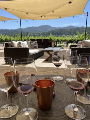 Benessere Vineyards by null