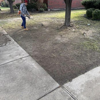 LG Tree Services & Landscaping - Tree Services Near Me - Terrell, Texas