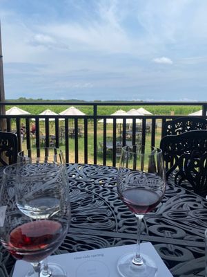 Macari Vineyards by null