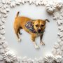 Punkin and Pals Pet Styles