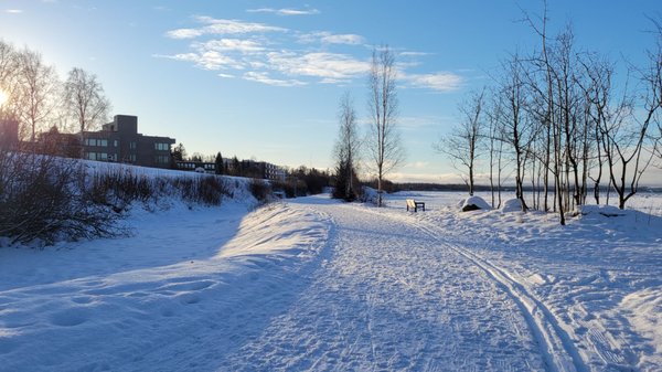 Tony Knowles Coastal Trail by null