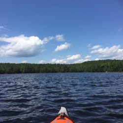 Grafton Pond
