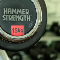 SH Sportclub Halensee