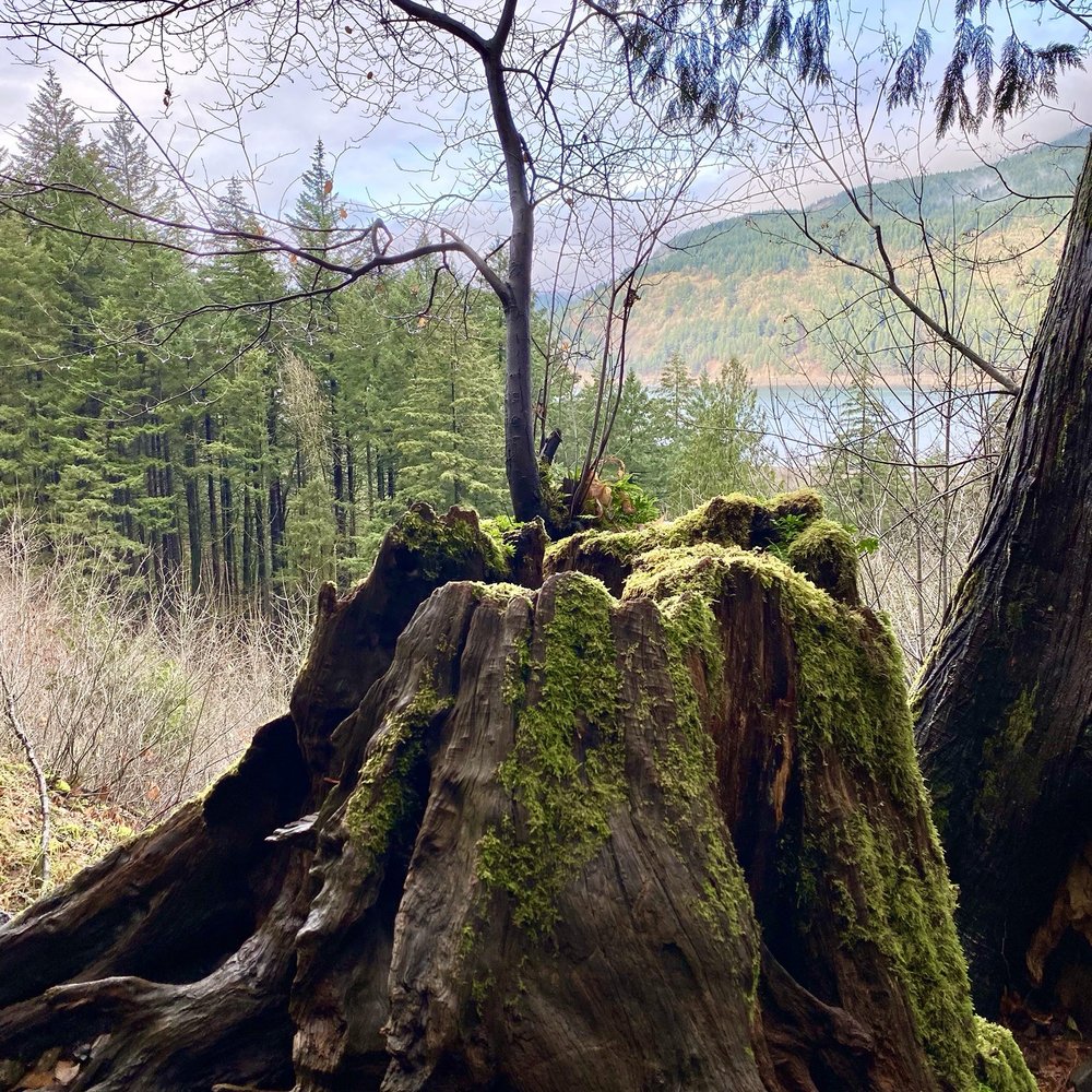 Starvation Creek State Park - Hiking Near Me - Cascade Locks, Oregon Starvation Creek State Park - Hiking Near Me - Cascade Locks, Oregon