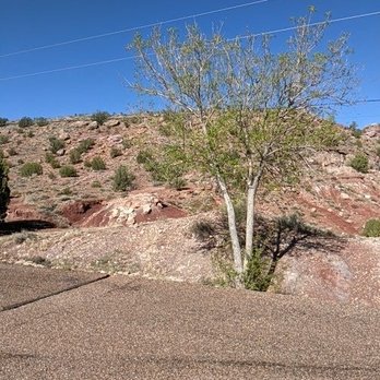 Lyman Lake State Park - Arid terrain - Fishing Near Me - Saint Johns, Arizona