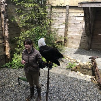 Alaska Canopy Adventures - Tours Near Me - Ketchikan, Alaska Alaska Canopy Adventures - Tours Near Me - Ketchikan, Alaska