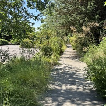 Argyle Winery - Walkway to rear parking area - Wineries Near Me - Dundee, Oregon