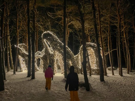 The Wild Center by null