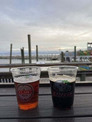 The Claw House by null