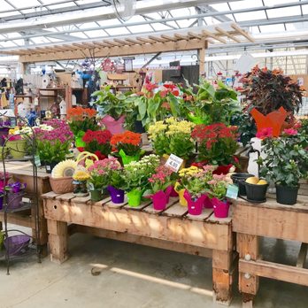 Amsterdam Garden Centre - Nurseries & Gardening Near Me - Pitt Meadows, British Columbia