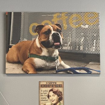4 Paws Coffee Co. - Dog heaven + Coffee - Coffee & Tea Near Me - Palm Springs, California