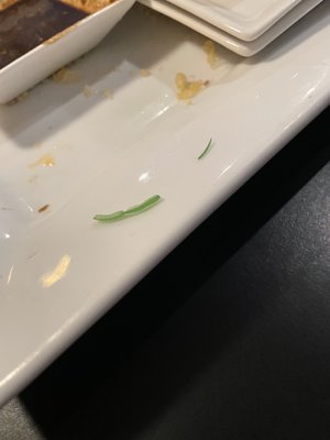 Hako Sushi by null