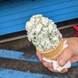 Black Bear Ice Cream - Mint chip
