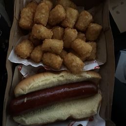 Plain dog with tots Plain dog with tots