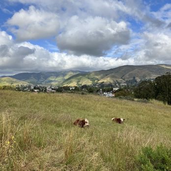 Cerro San Luis Trail - Hiking Near Me - San Luis Obispo, California