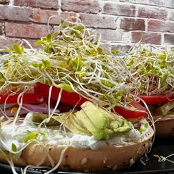 Wolf + Honey Veggie Bagel

Whole Bagel
-cream cheese 
-avocado
-veggies
-evoo + red win vinegar
- salt + pepper