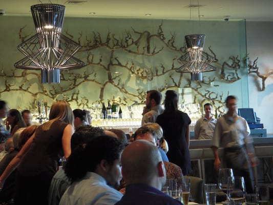 Morimoto Napa by null Morimoto Napa by null