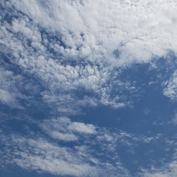 Bay County Pinconning Park - Beautiful blue skies