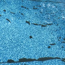 Tad Pools