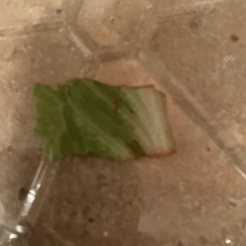 Deniro's Pizzeria & Subs - a leaf on the ground - Sandwiches Near Me - Nottingham, Maryland Deniro's Pizzeria & Subs - a leaf on the ground - Sandwiches Near Me - Nottingham, Maryland