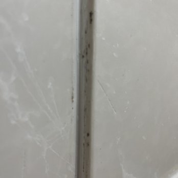 Wingate by Wyndham Memphis East - Black Mold - Hotels Near Me - Memphis, Tennessee Wingate by Wyndham Memphis East - Black Mold - Hotels Near Me - Memphis, Tennessee