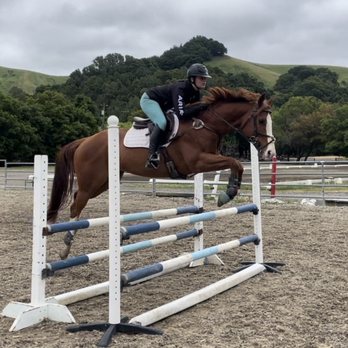 Rancho De Los Amigos - Jumping in the outdoor jump arena - Horseback Riding Near Me - Castro Valley, California Rancho De Los Amigos - Jumping in the outdoor jump arena - Horseback Riding Near Me - Castro Valley, California