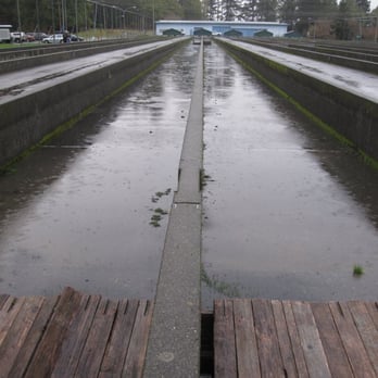 Mad River Fish Hatchery - Local Flavor Near Me - Arcata, California Mad River Fish Hatchery - Local Flavor Near Me - Arcata, California