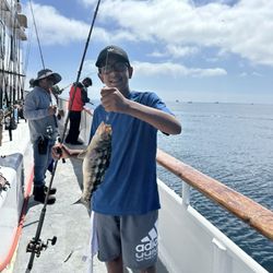 Pierpoint Landing - Calico bass