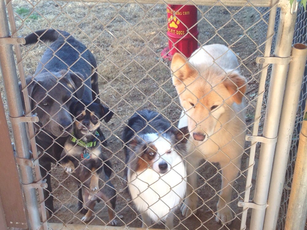 HAPPY TAILS COMPLETE PET CARE Updated September 2024 11 Reviews