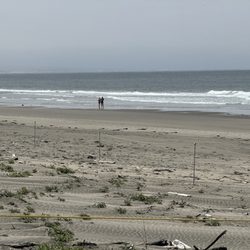 Zmudowski State Beach - Beach area
