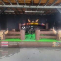685 Backyard - Lets see if you can hold onto our bull