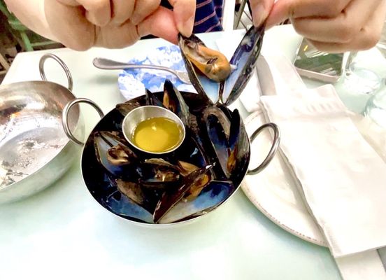 Blue Mussel Cafe by null