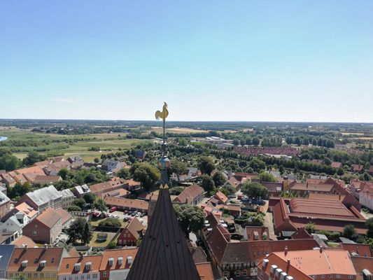 Ribe Cathedral by null