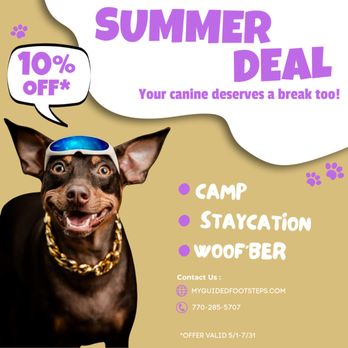 Guided Footsteps Canine Camp - Pet Sitting Near Me Guided Footsteps Canine Camp - Pet Sitting Near Me