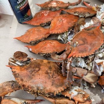 Crab Palace - Different sizes of crabs - Seafood Markets Near Me - Newark, New Jersey Crab Palace - Different sizes of crabs - Seafood Markets Near Me - Newark, New Jersey