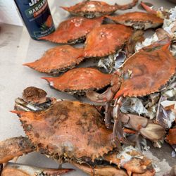 Crab Palace