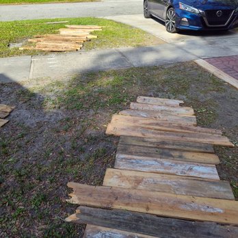 OI Solutions - Tree Services Near Me OI Solutions - Tree Services Near Me
