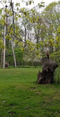 Gilsland Farm Audubon Center by null