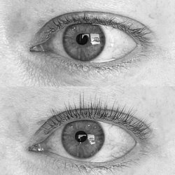 Eyelash Concierge - Before + After from a lash lift session with Milana.