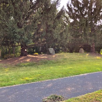 Driftwood Property Services - This is an after picture of a clean up around the tree base with trimming of low hanging branches and deadwood - Lawn Services Near Me Driftwood Property Services - This is an after picture of a clean up around the tree base with trimming of low hanging branches and deadwood - Lawn Services Near Me