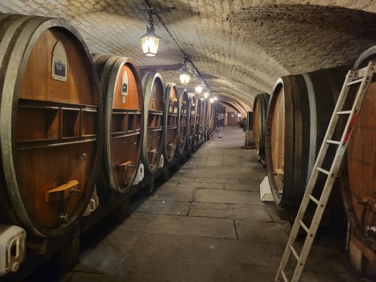 Cave Historique des Hospices de Strasbourg by null