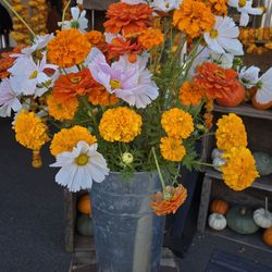 Hood River Harvest Valley Festival