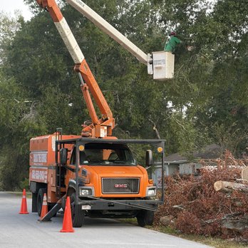 Carlos Tree Service - Tree Services Near Me - Ocala, Florida Carlos Tree Service - Tree Services Near Me - Ocala, Florida