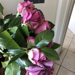 Azap Flores