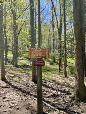 Harriman State Park by null